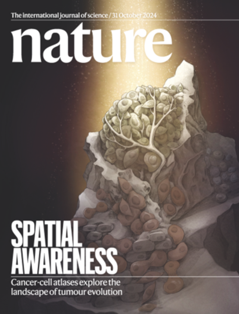 Spatial Precision Top 5 Moments in AI Spatial Precision Medicine in 2024