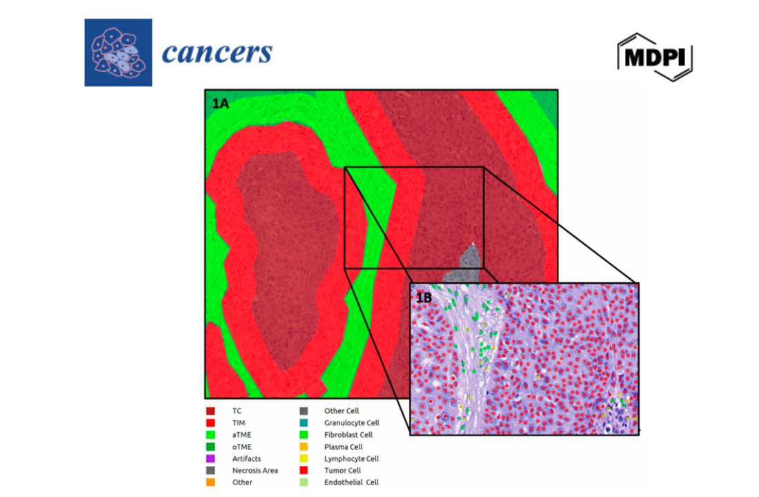 cancer image (1)